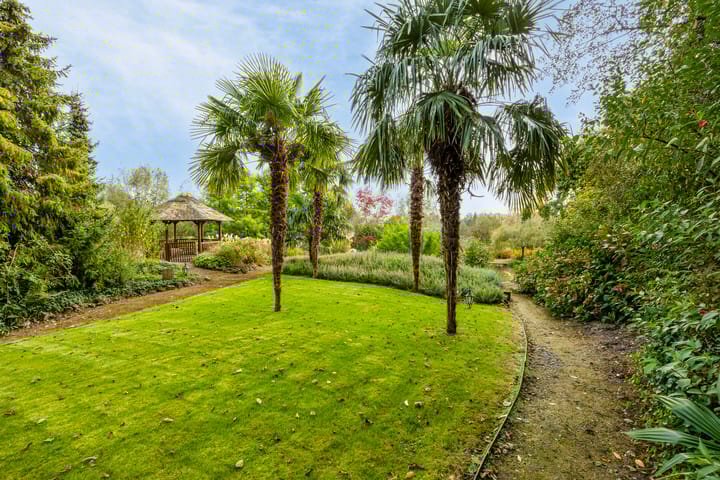 Photo 78 of Hofweg 5