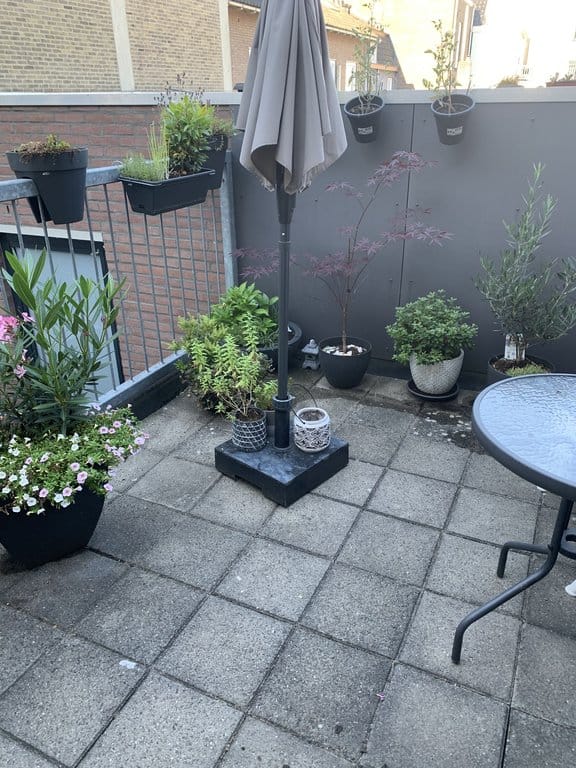 Foto 19 van Wilhelminaplein 3-A