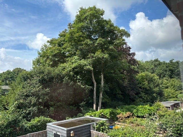 Foto 20 van Beethovenlaan 27