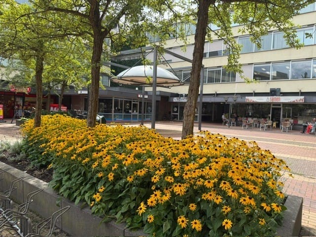 Foto 42 van Beethovenlaan 27