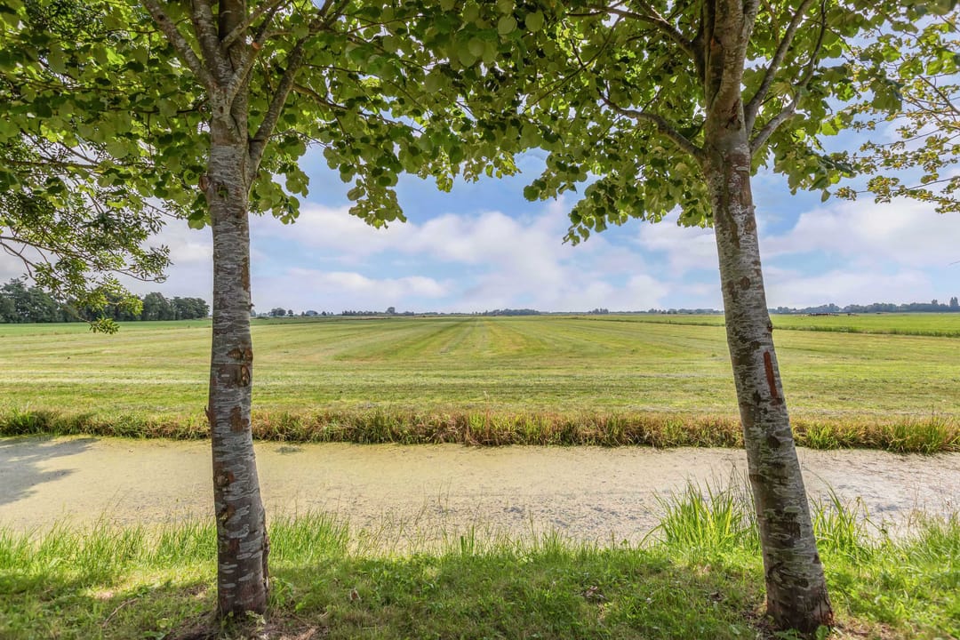 Photo 38 of Marwei 102