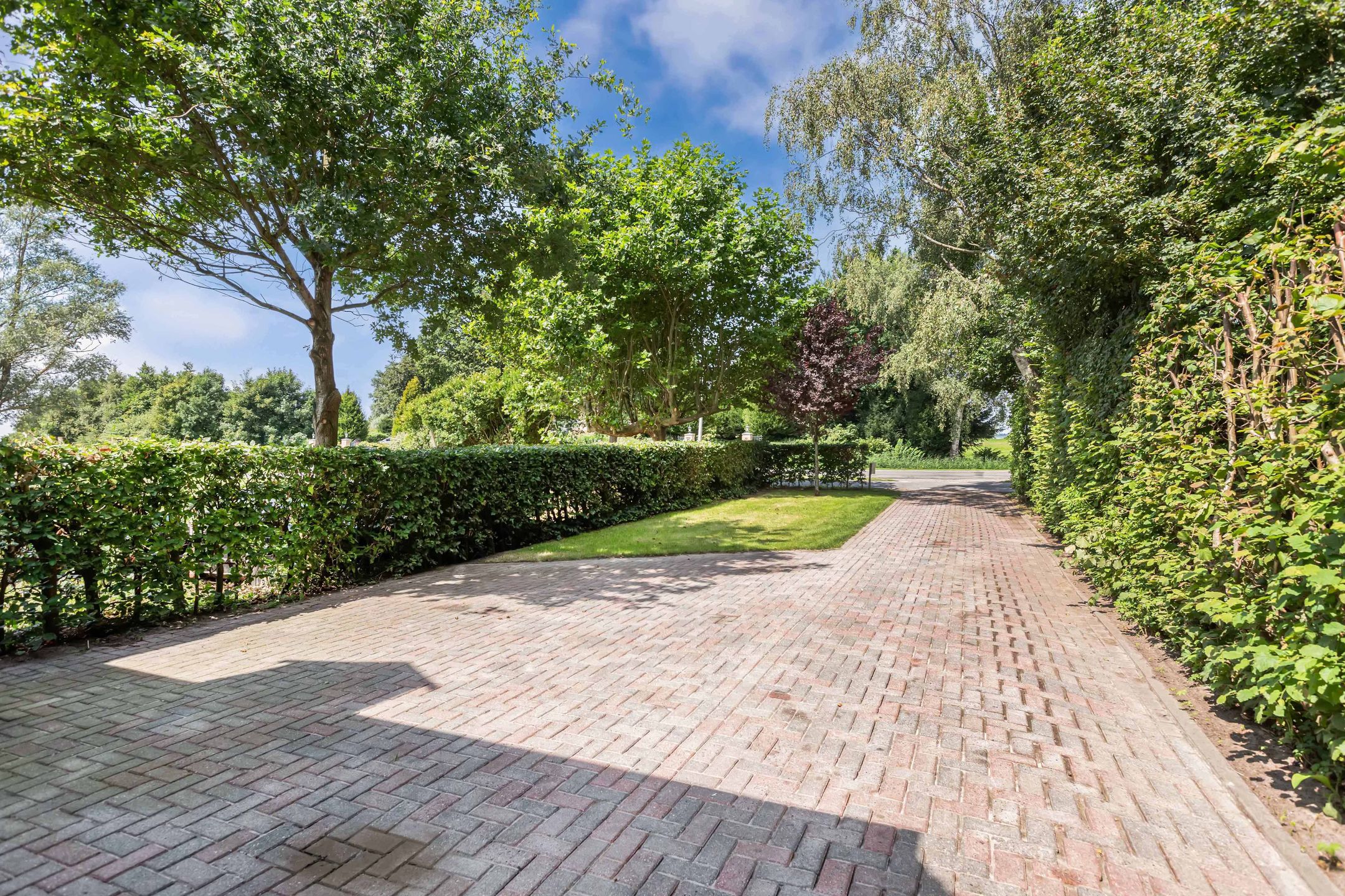 Photo 48 of Marwei 102