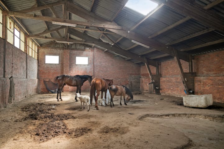 Foto 35 van Graafjansdijk B 87