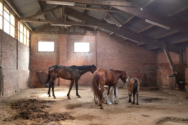 Foto 36 van Graafjansdijk B 87