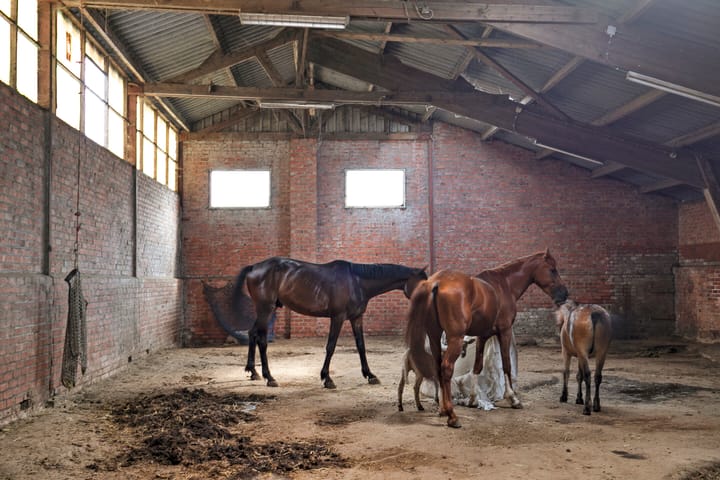 Foto 37 van Graafjansdijk B 87