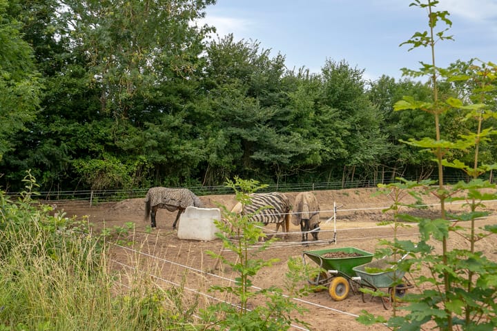 Foto 42 van Graafjansdijk B 87