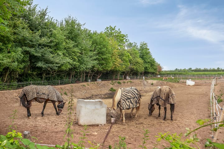 Foto 43 van Graafjansdijk B 87