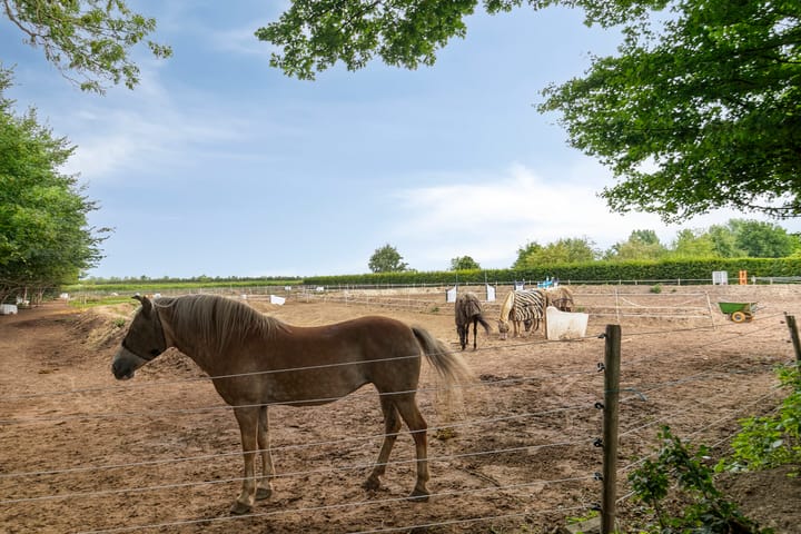 Foto 44 van Graafjansdijk B 87