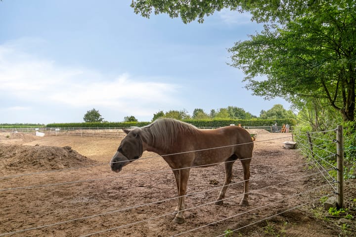 Foto 45 van Graafjansdijk B 87