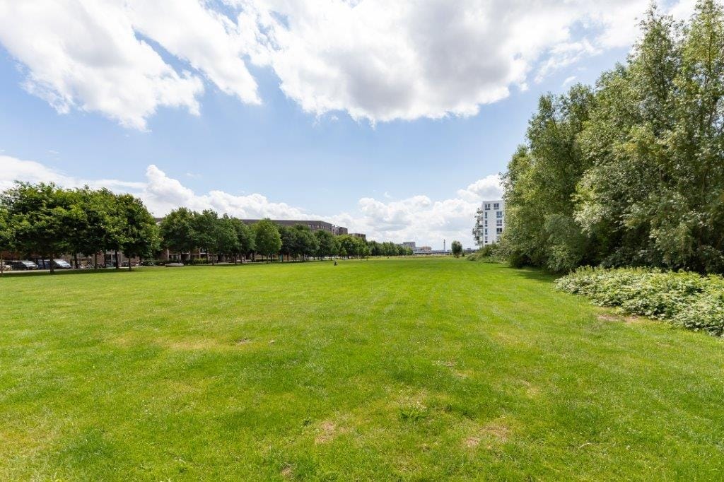 Foto 36 van Walter Kollolaan 170