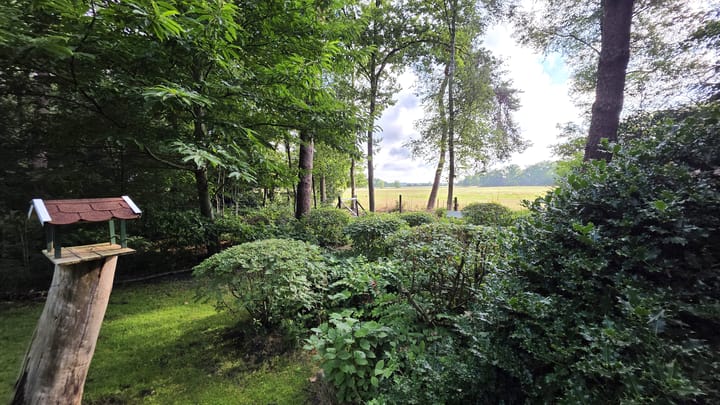 Foto 4 van Oude Dwingelerdijk 4