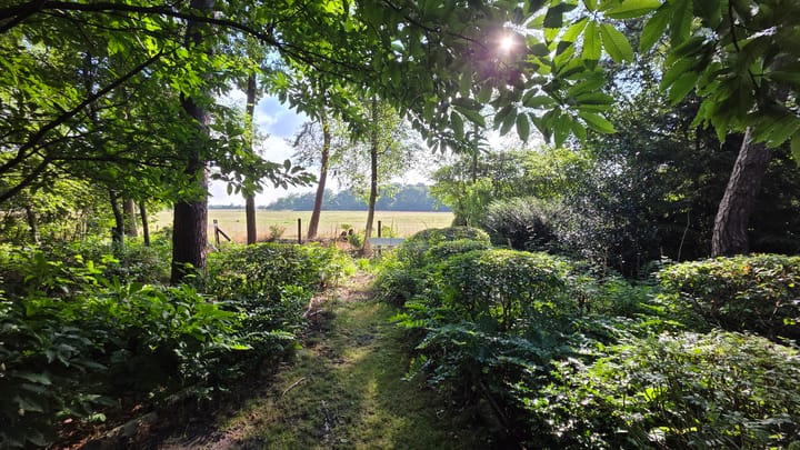 Foto 5 van Oude Dwingelerdijk 4