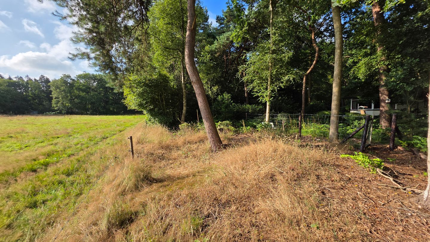 Foto 44 van Oude Dwingelerdijk 4