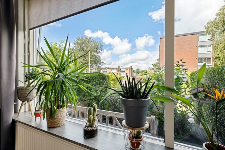 Foto 9 van Worp Tjaardastraat 63