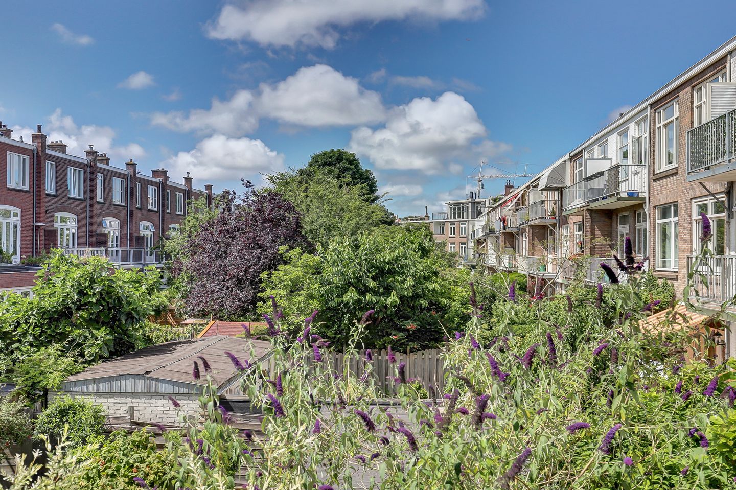 Foto 10 van Willem van Outhoornstraat 78