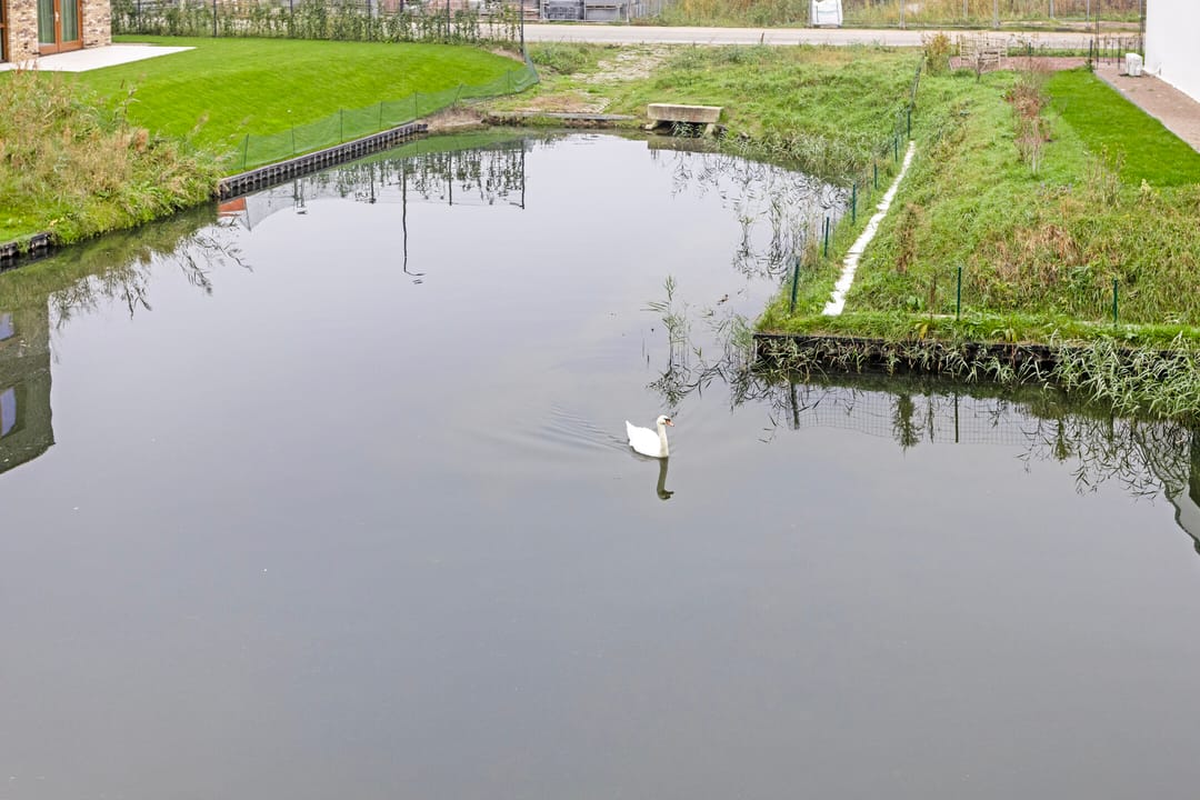 Foto 22 van Haagwinde 17