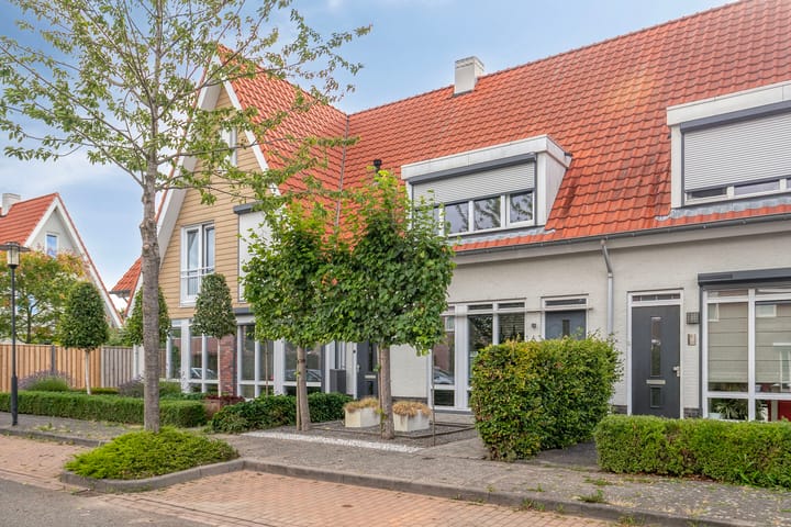 undefined main image