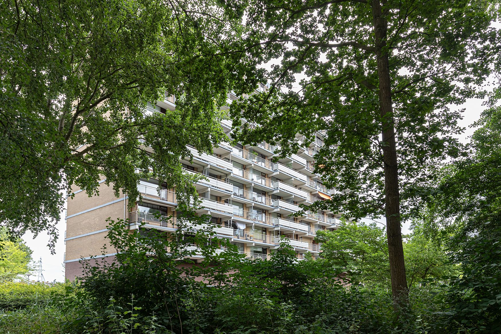 Foto 24 van Zernikelaan 524