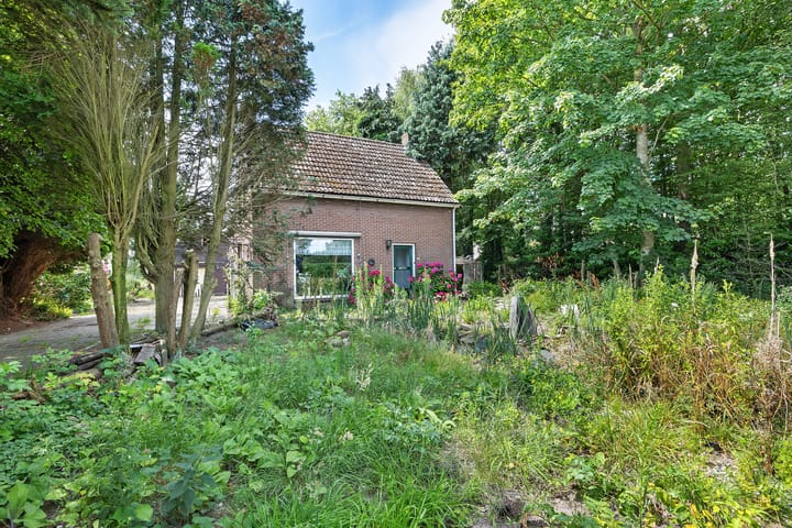 Foto 6 van 't Eng 12