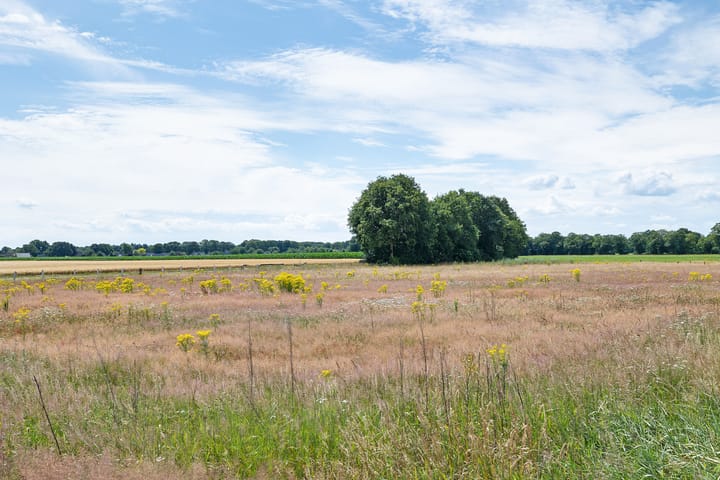 Foto 30 van 't Eng 12