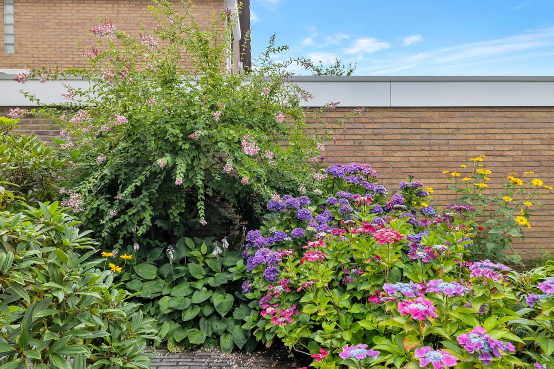 Foto 46 van Hogeweg 58