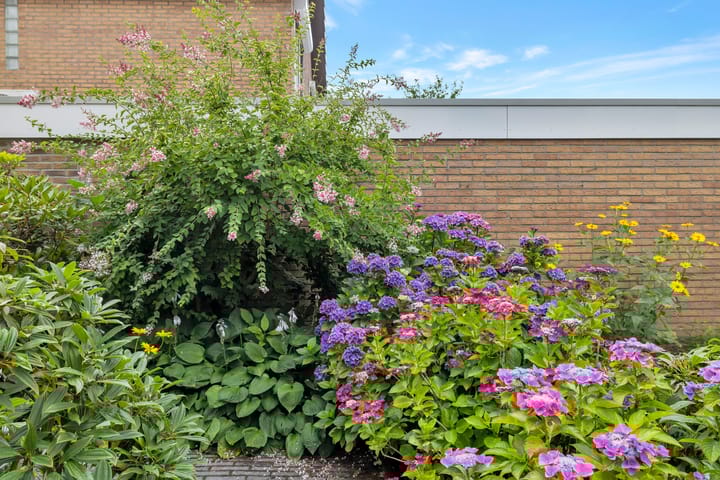 Foto 46 van Hogeweg 58