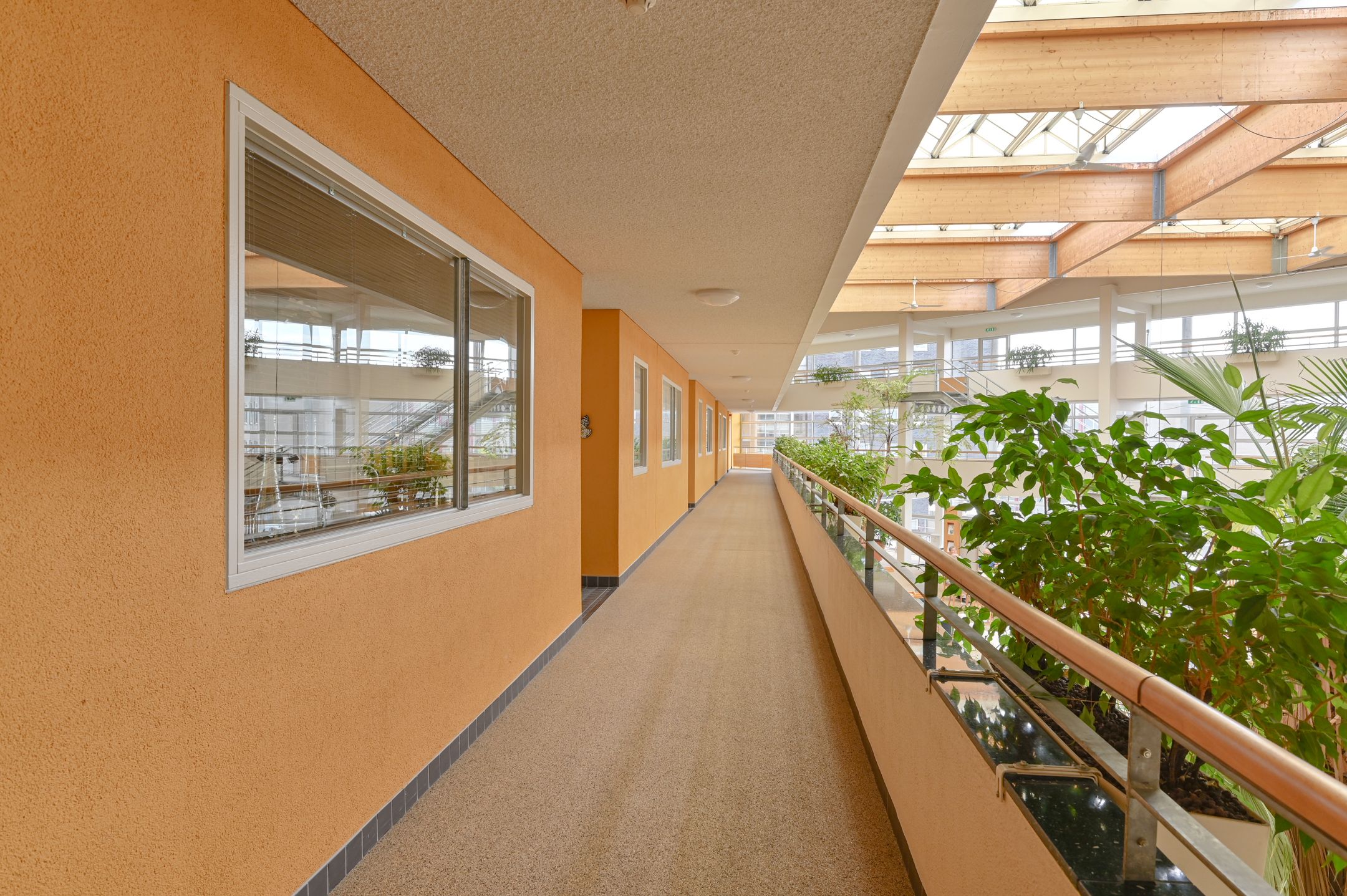 Foto 15 van Seinstraat 56