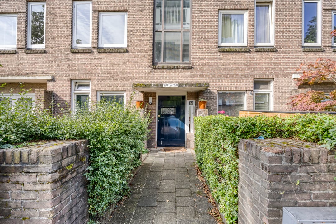 Photo 8 of Koningin Wilhelminalaan 222