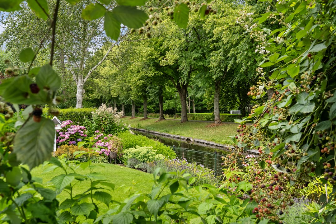 Photo 46 of Pieter de Hooghlaan 30