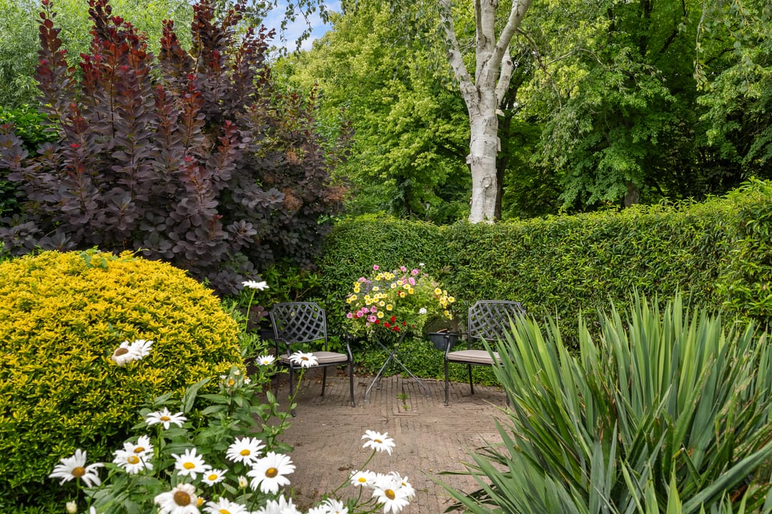 Photo 52 of Pieter de Hooghlaan 30