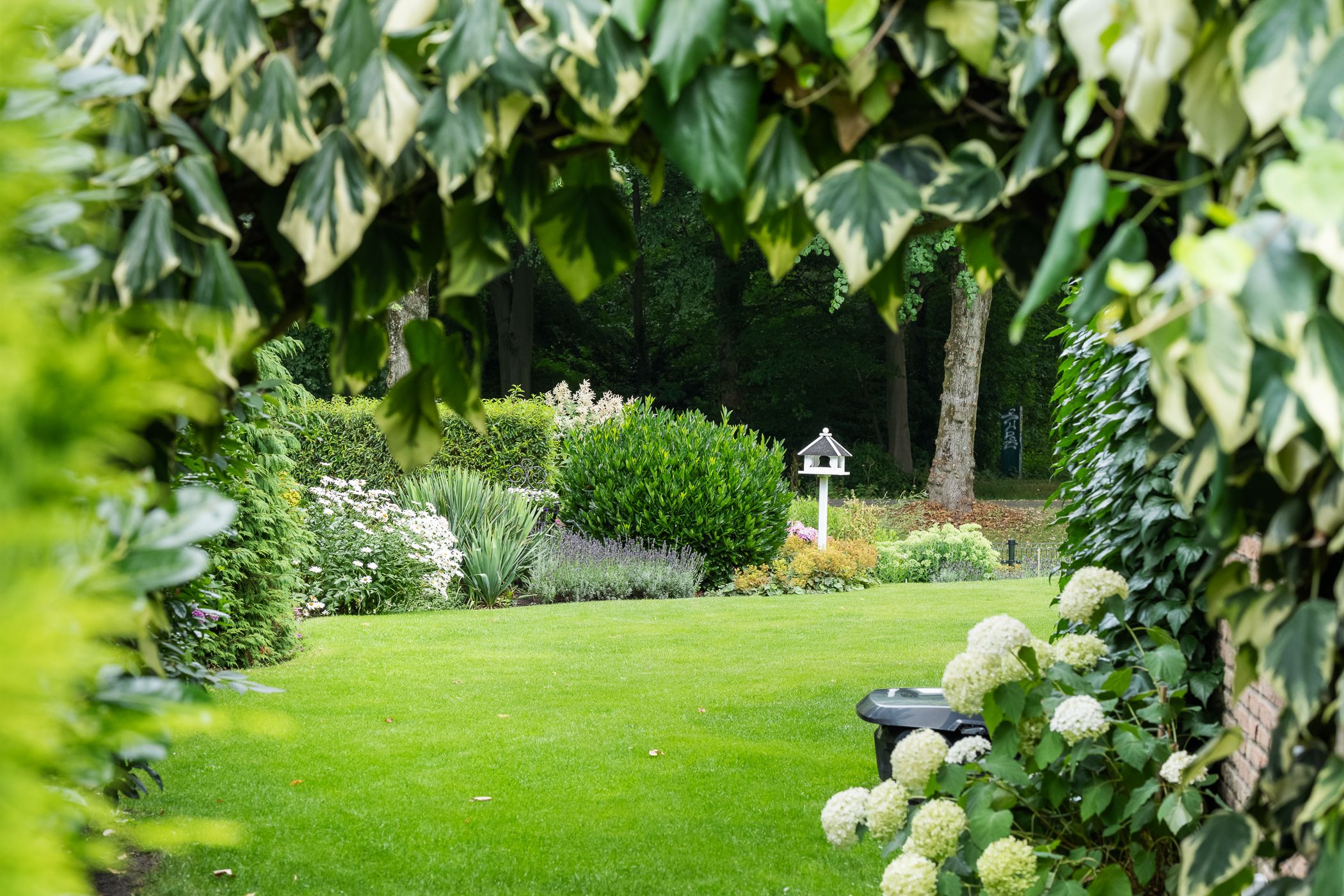 Photo 60 of Pieter de Hooghlaan 30