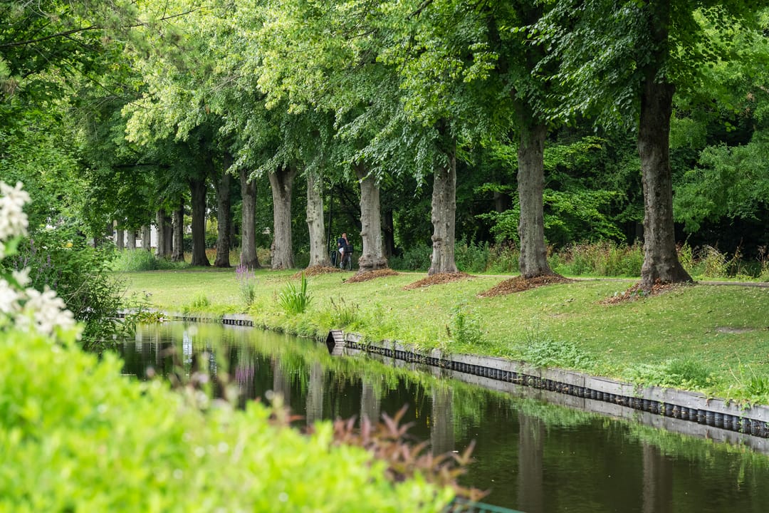 Photo 62 of Pieter de Hooghlaan 30