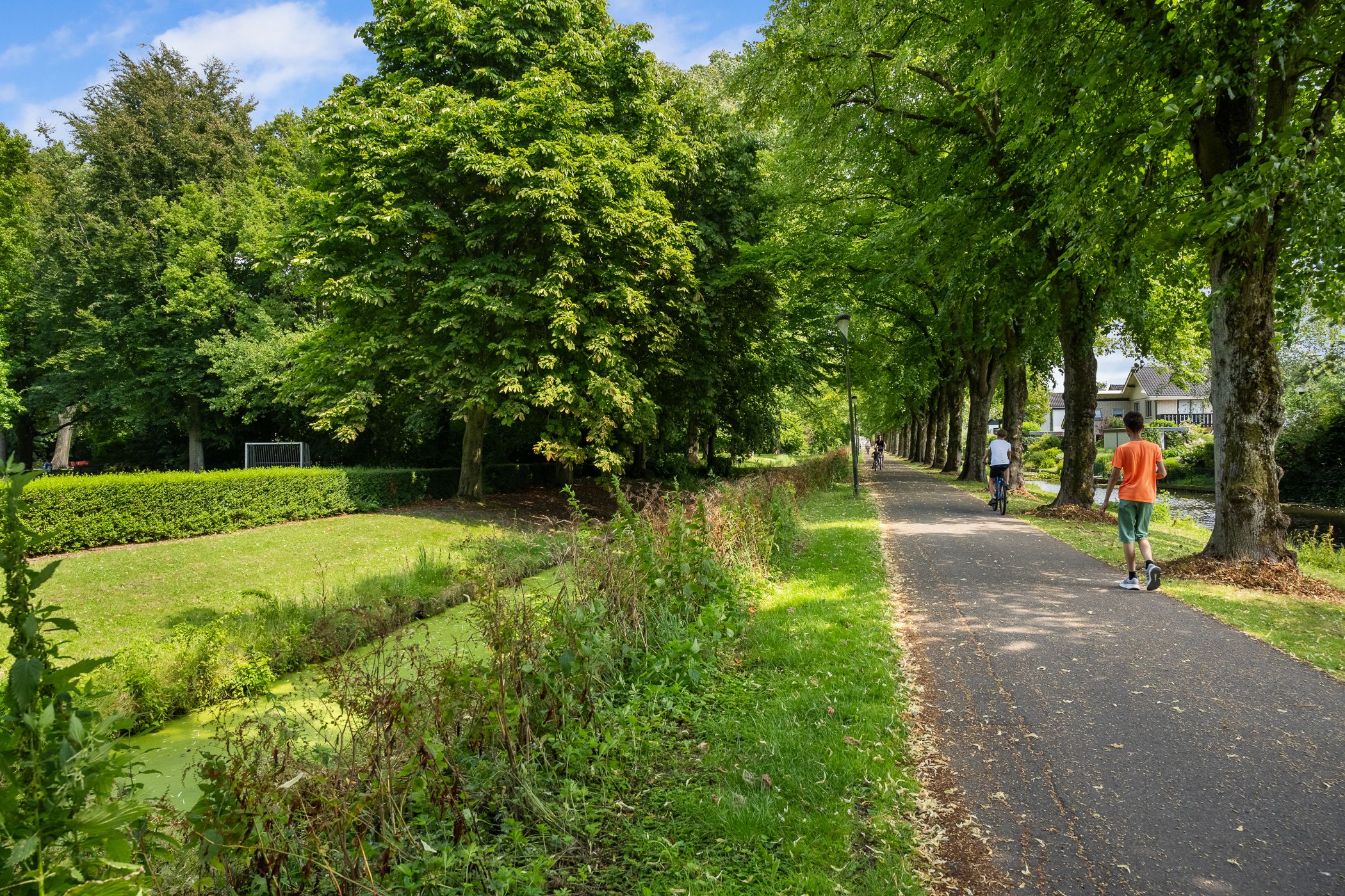 Photo 66 of Pieter de Hooghlaan 30