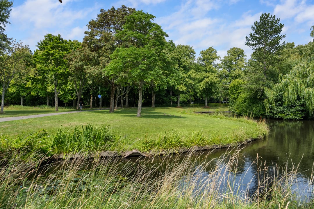 Photo 68 of Pieter de Hooghlaan 30