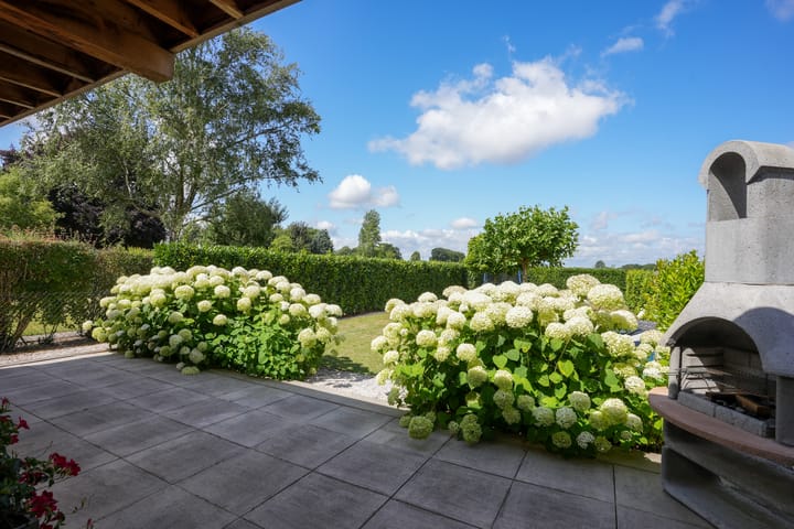 Foto 46 van Eindstraat 73