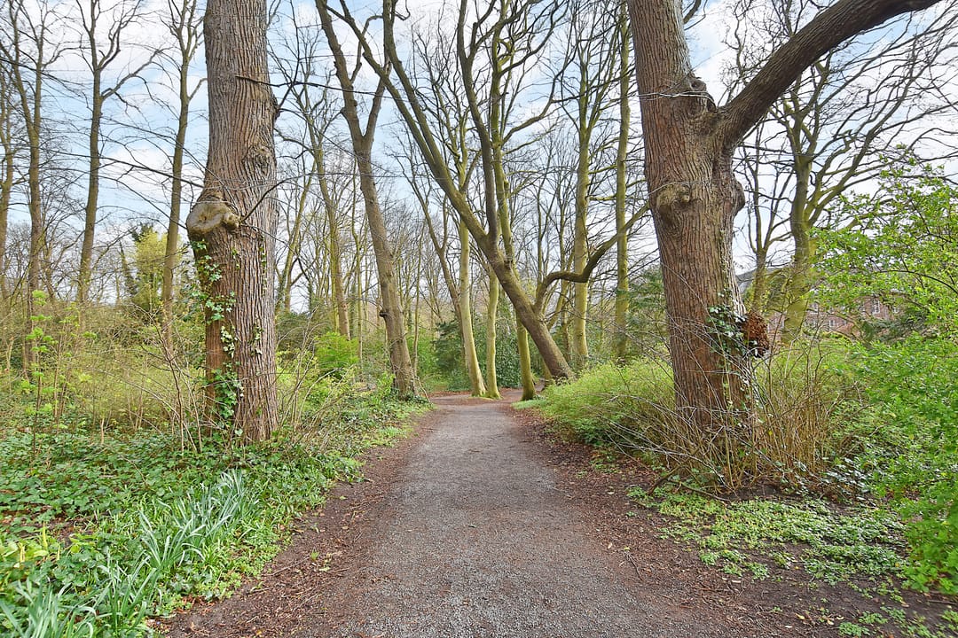 Foto 28 van Oostduinplein 47