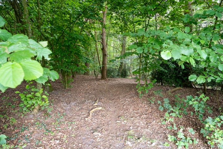 Foto 89 van Rijksweg 254