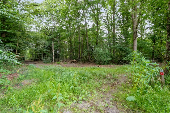 Foto 91 van Rijksweg 254