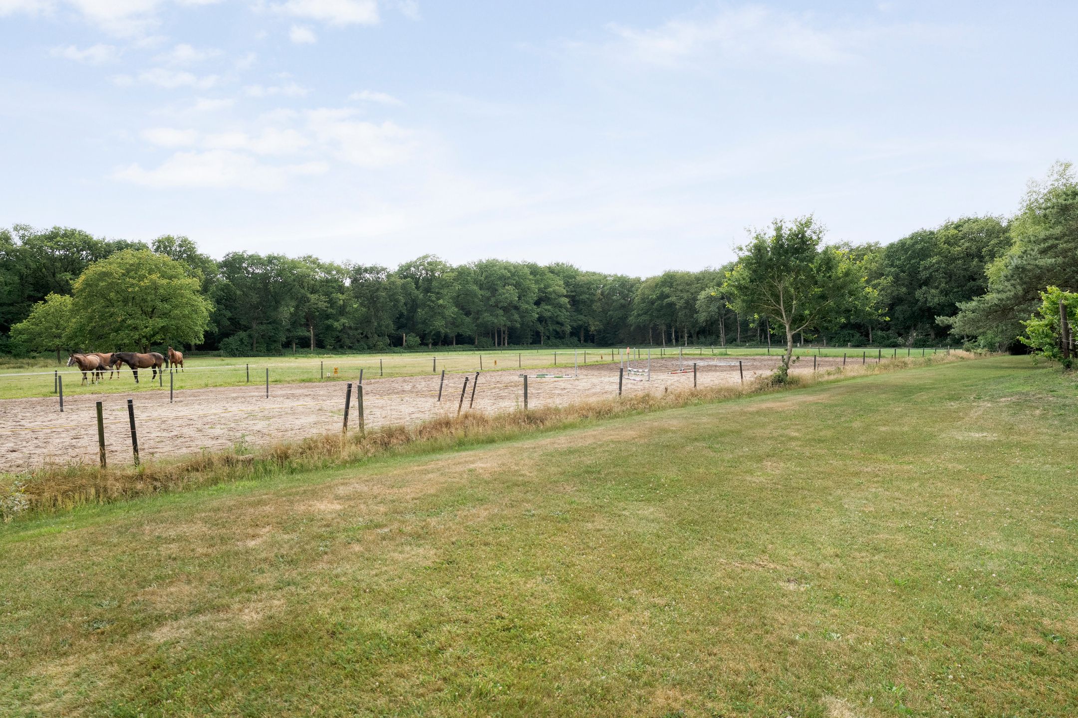 Foto 99 van Rijksweg 254