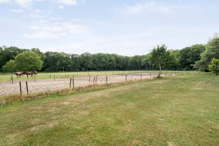 Foto 99 van Rijksweg 254