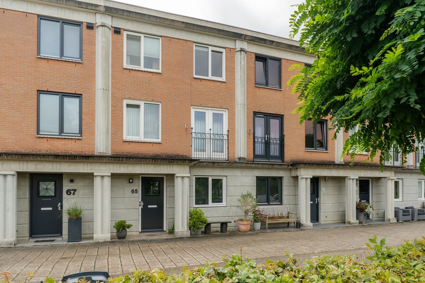 Foto 1 van Pronkmos 65