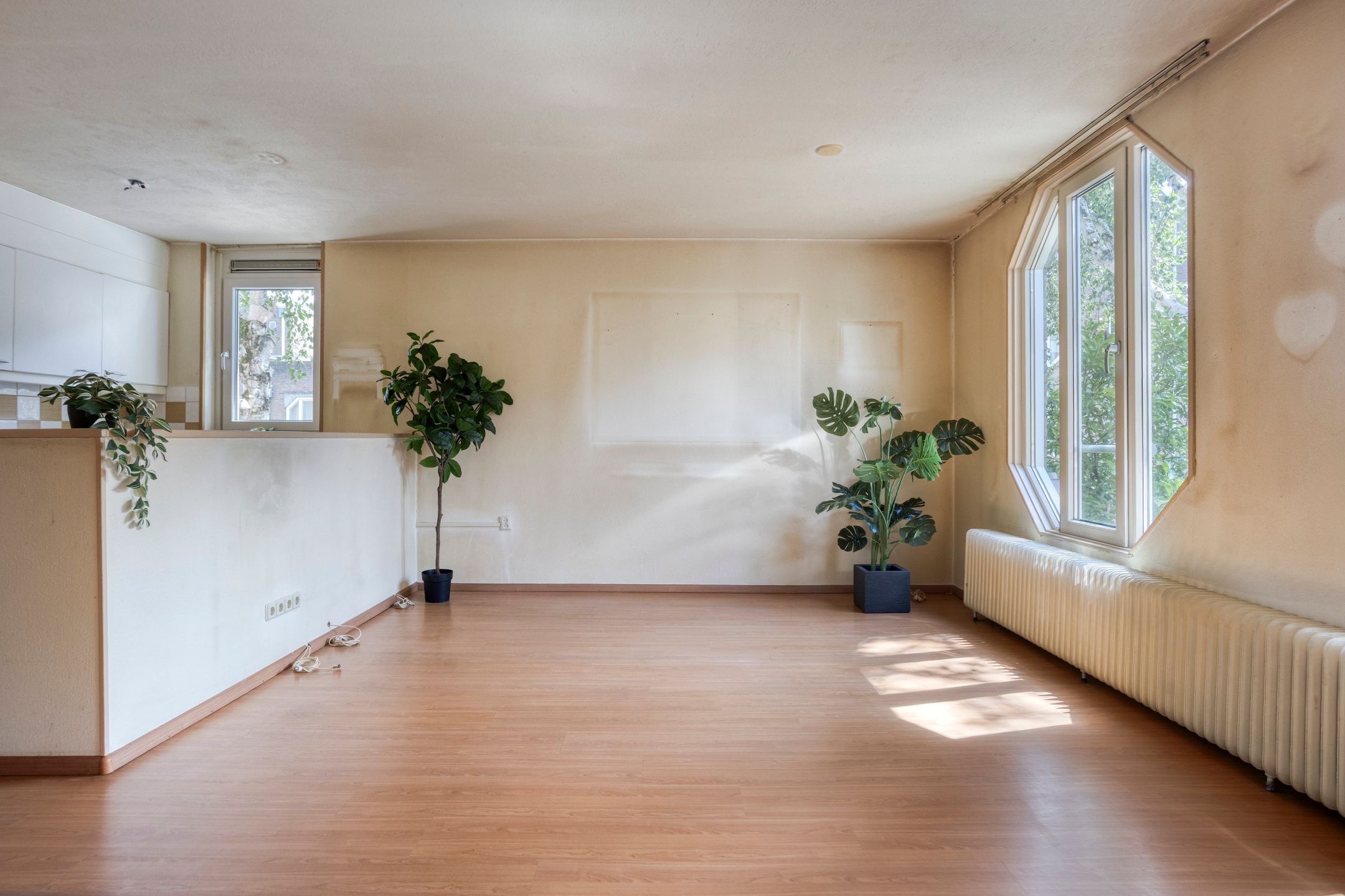 Foto 12 van Angoulèmehof 22