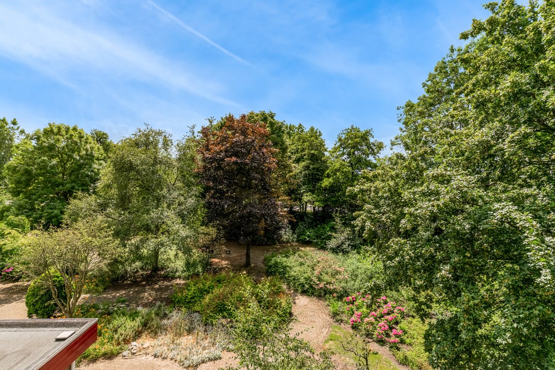 Foto 16 van Thamerhorn 27