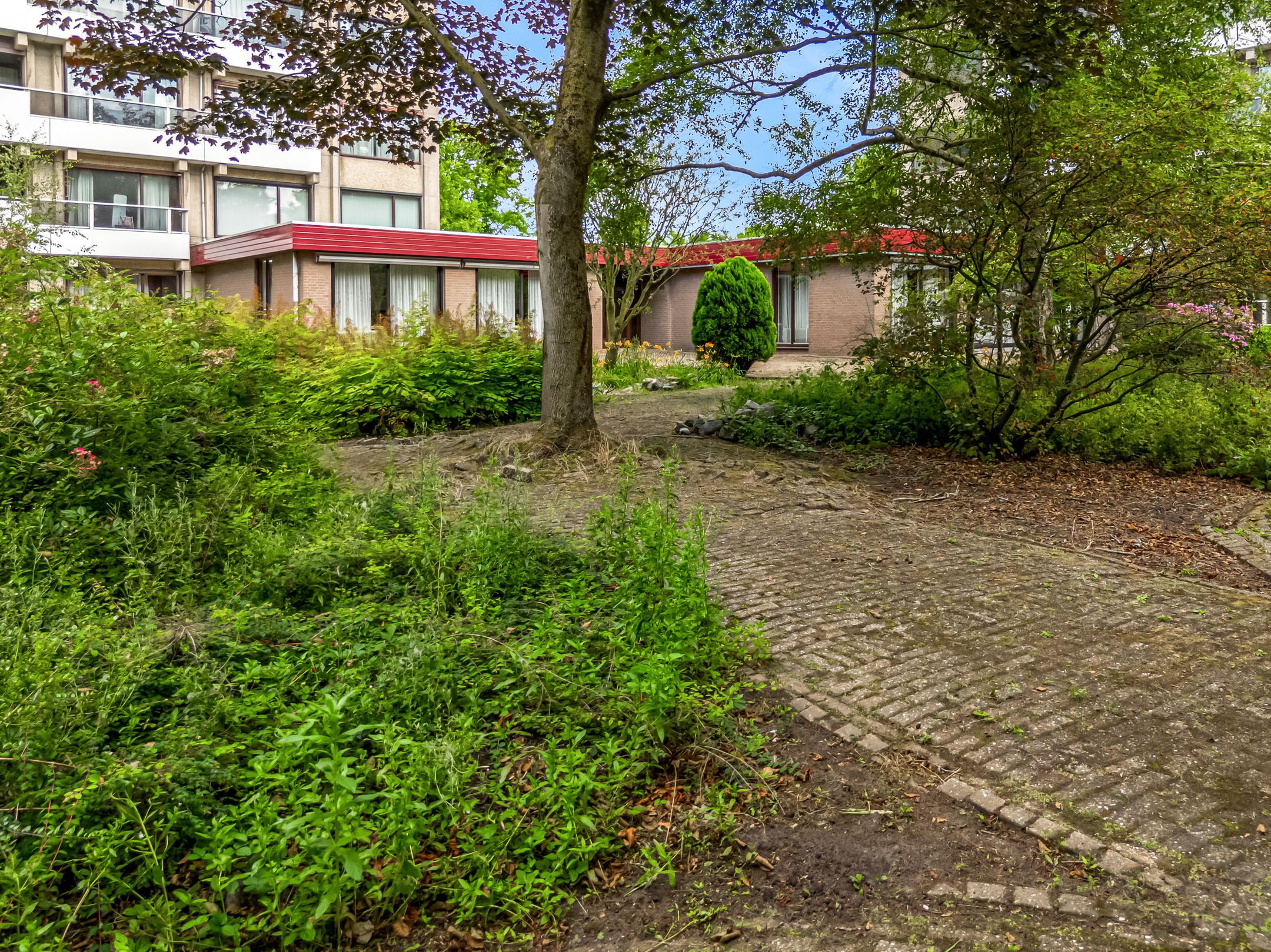 Foto 18 van Thamerhorn 27