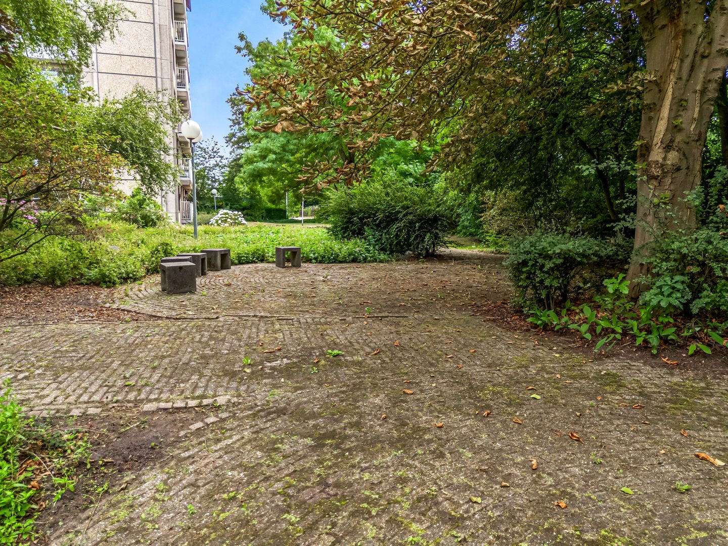 Foto 20 van Thamerhorn 27