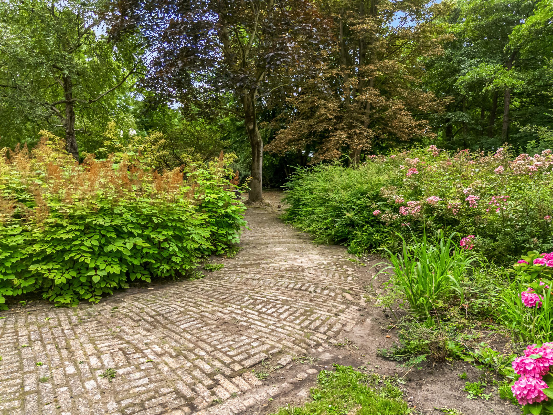 Foto 21 van Thamerhorn 27