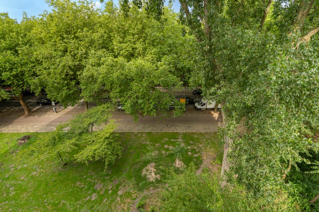 Foto 2 van Bolestein 264