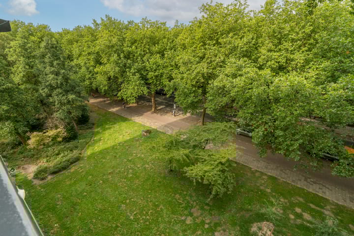 Foto 10 van Bolestein 264