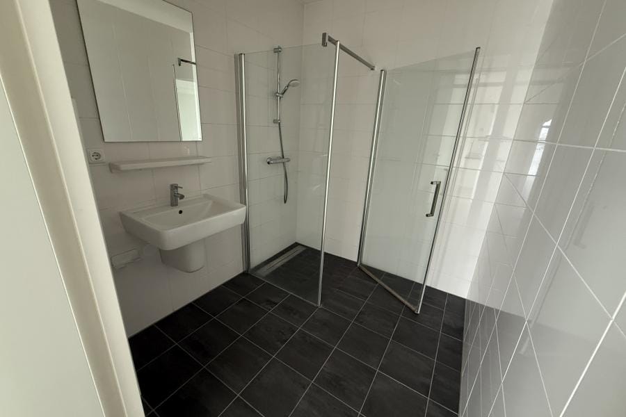 Foto 9 van Zandstrooierstraat 101