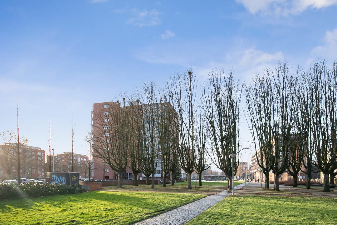 Foto 23 van Cornelis van Rijplantsoen 56